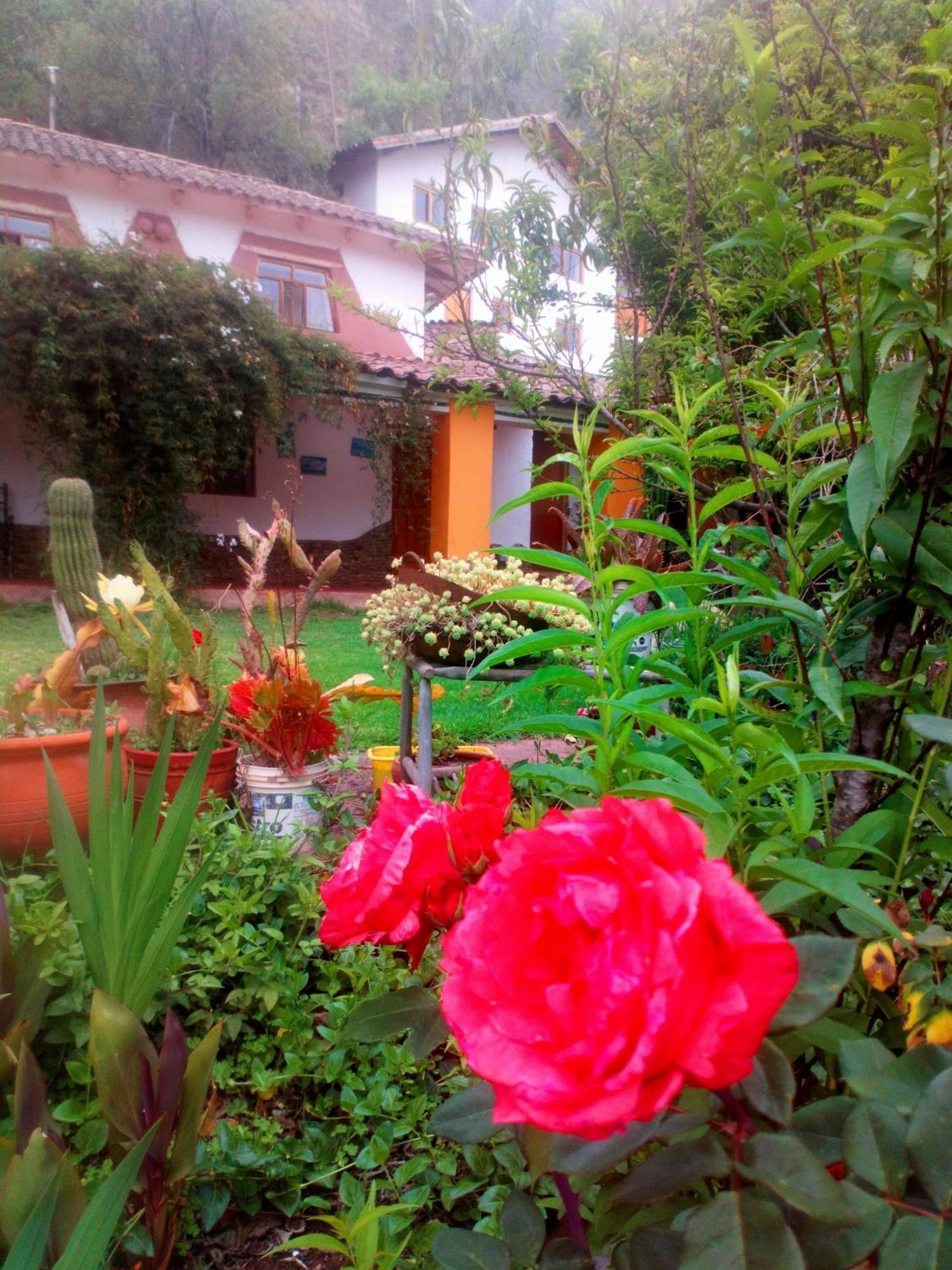 Ecolodge Ccatan Urubamba Exterior photo